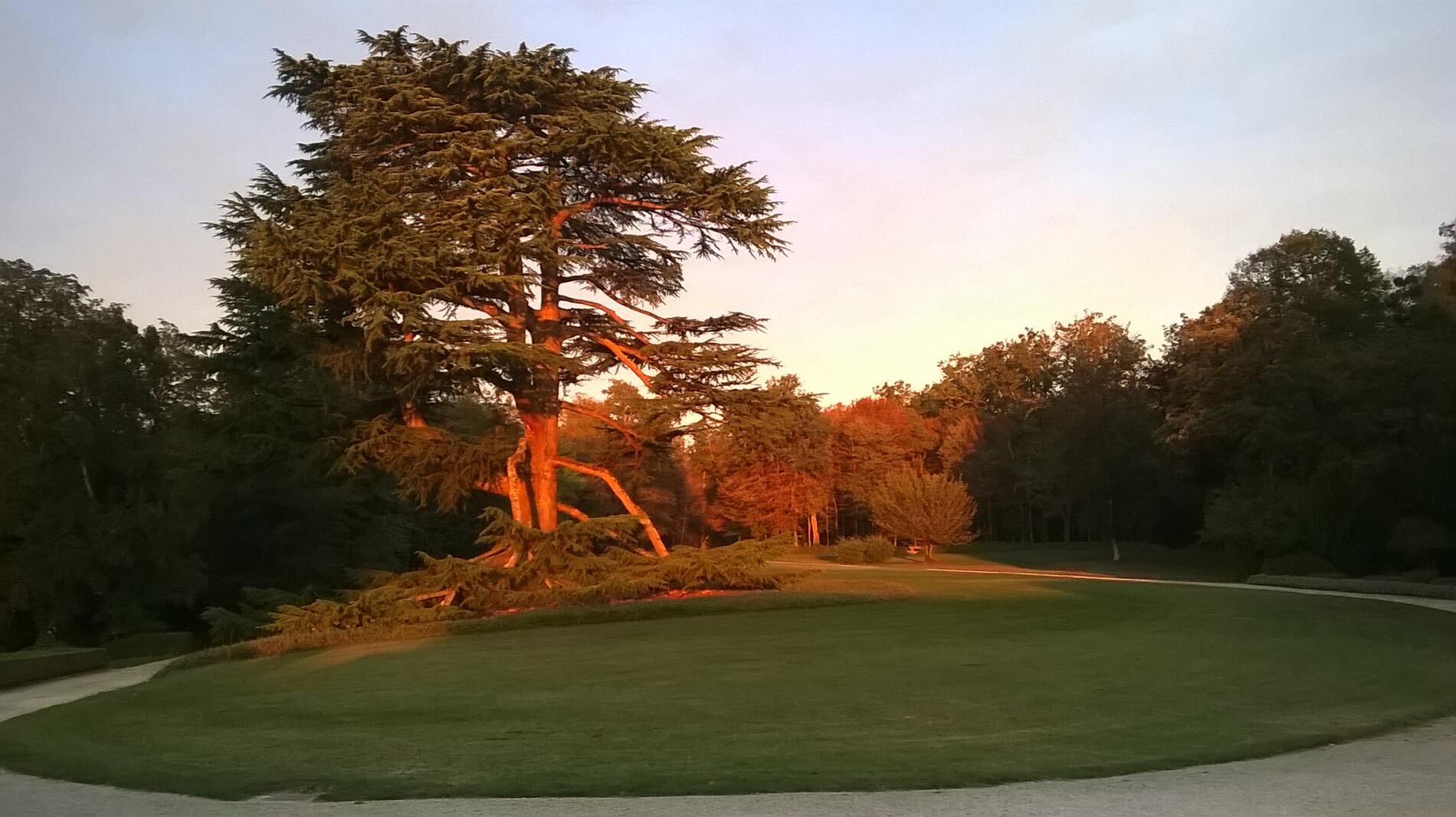 Jardins du Château de Hautefort, Hautefort - photo 7