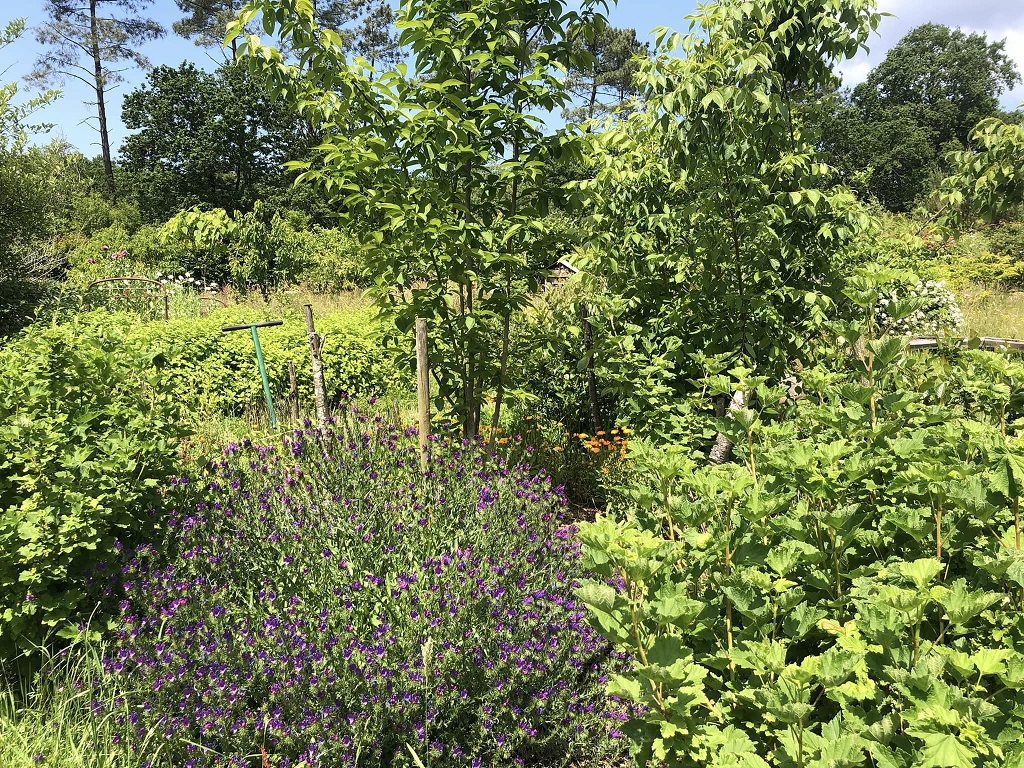 Les Jardins de l'Humanité, Saint-Vincent-de-Tyrosse - photo 7