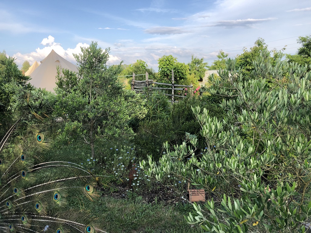 Les Jardins de l'Humanité, Saint-Vincent-de-Tyrosse - photo 3