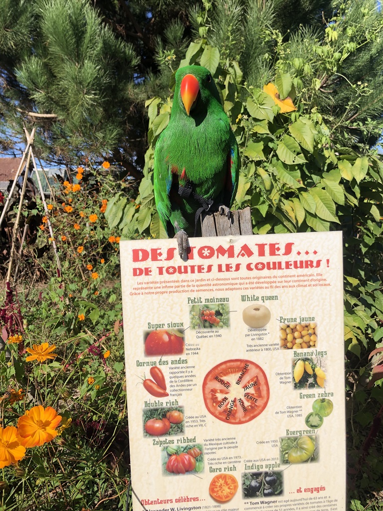 Les Jardins de l'Humanité, Saint-Vincent-de-Tyrosse - photo 4