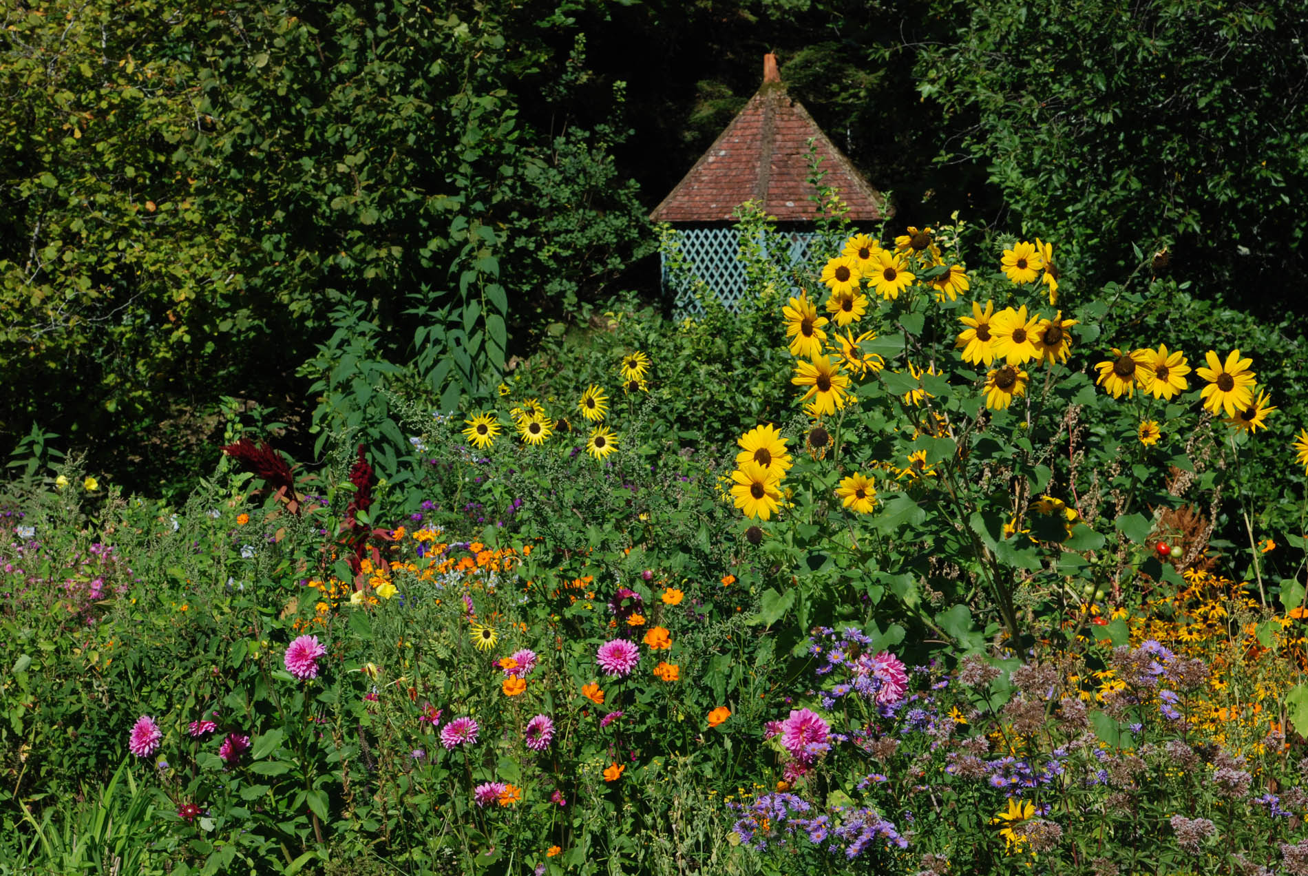 Les Jardins de l'Albarède