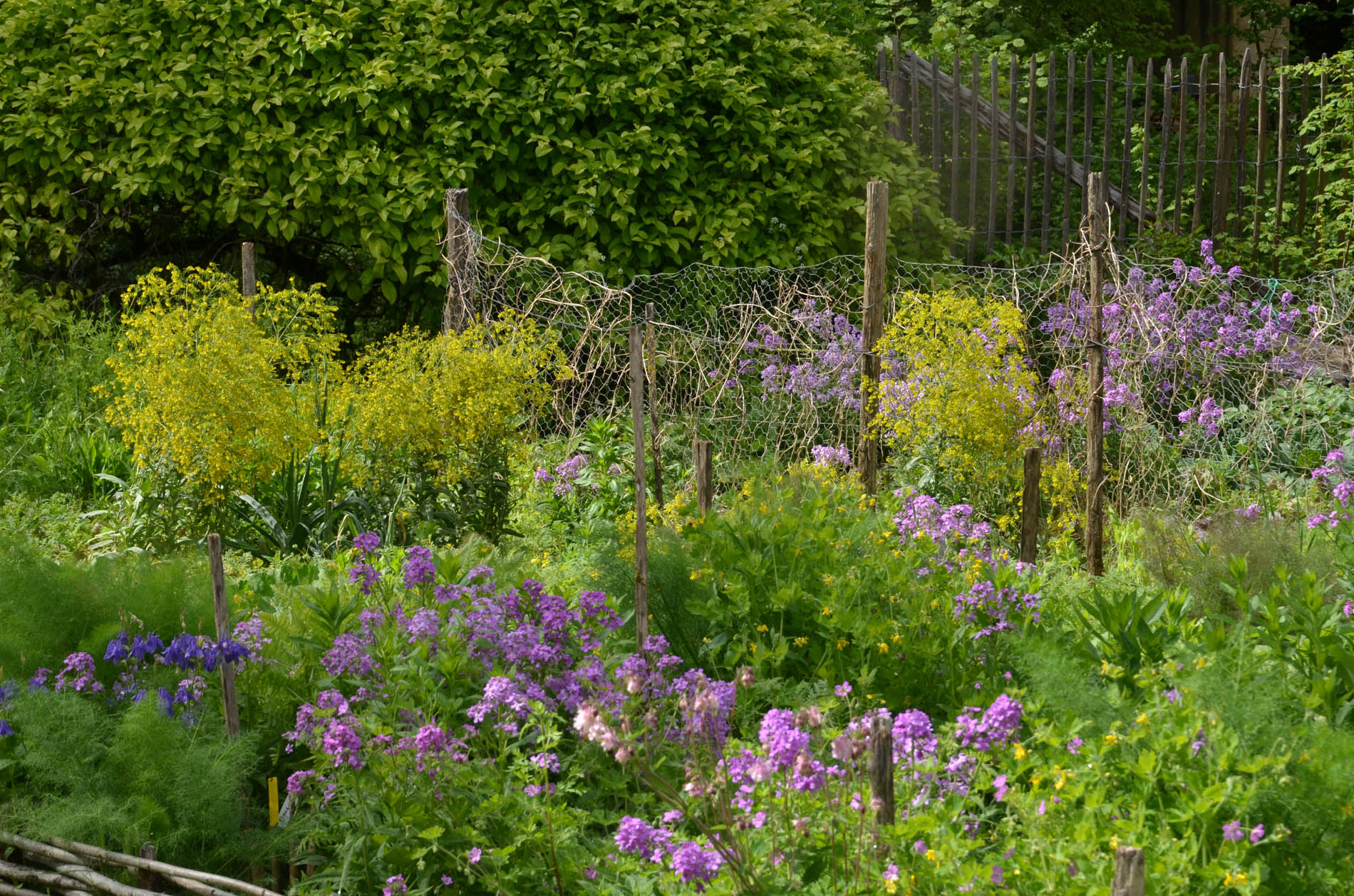 Les Jardins de l'Albarède, Saint-Cybranet - photo 10