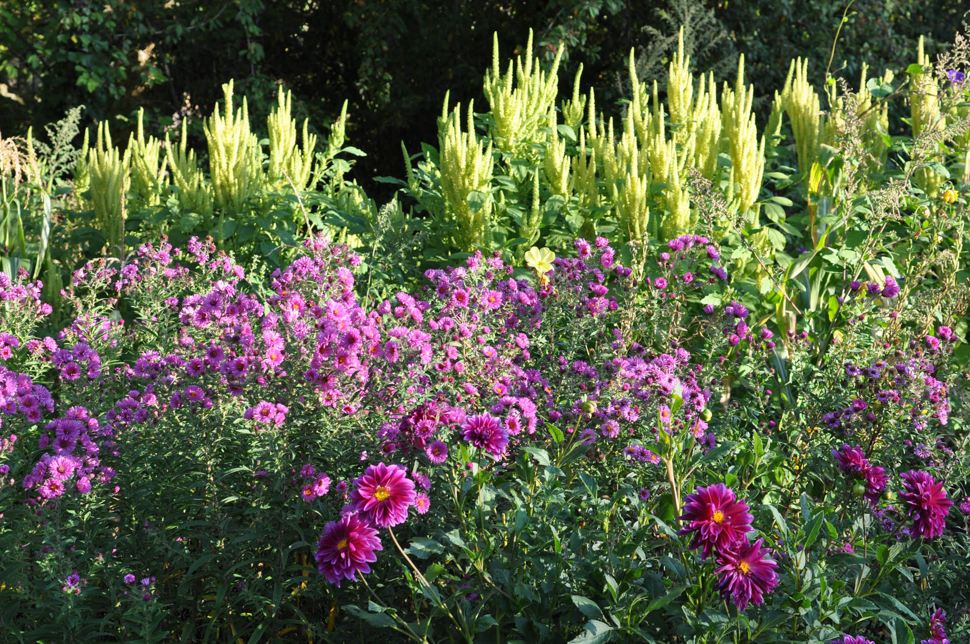 Les Jardins de l'Albarède, Saint-Cybranet - photo 8