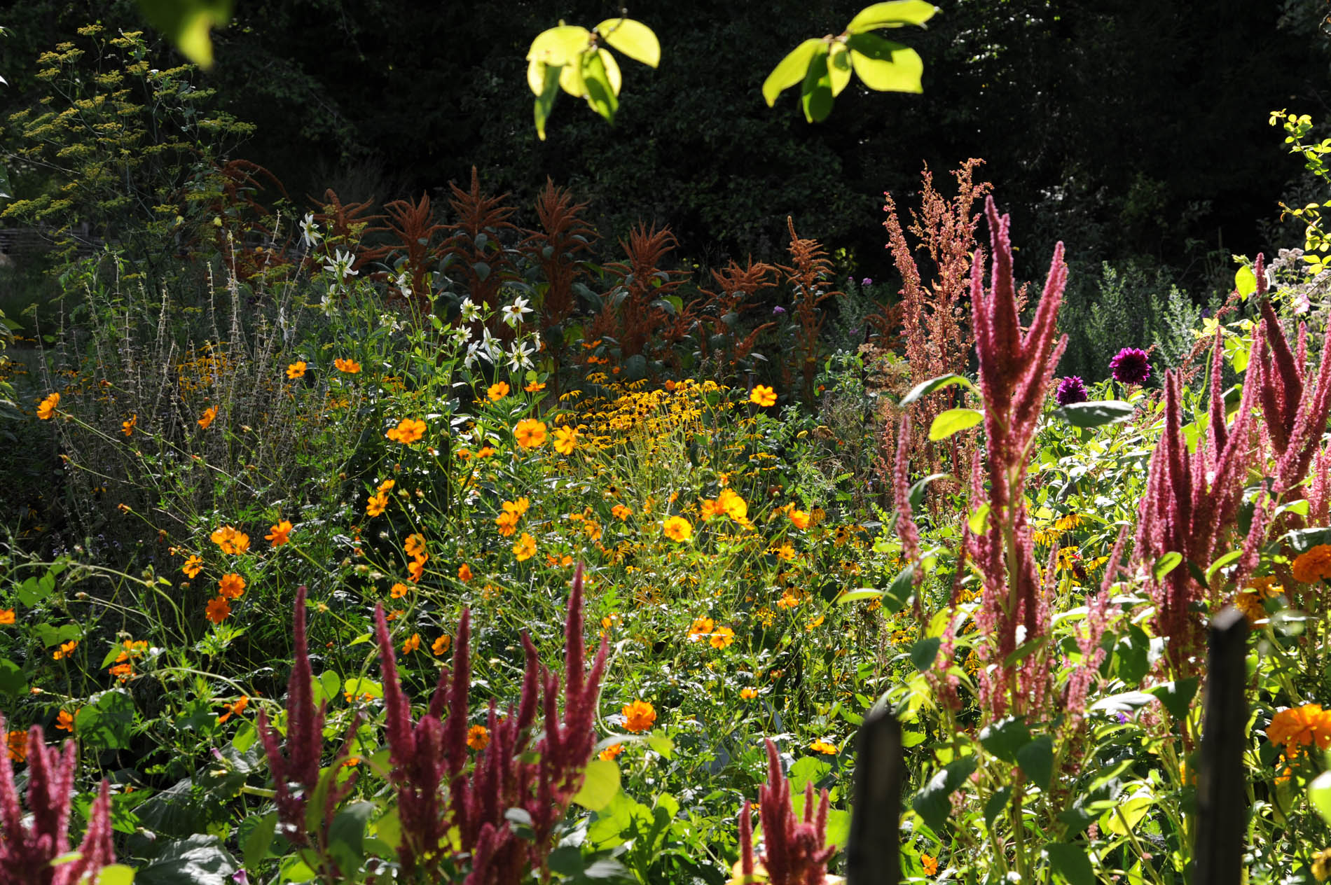 Les Jardins de l'Albarède, Saint-Cybranet - photo 12