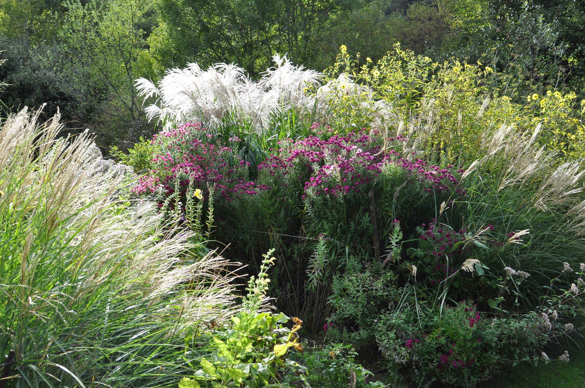 Les Jardins de l'Albarède, Saint-Cybranet - photo 6