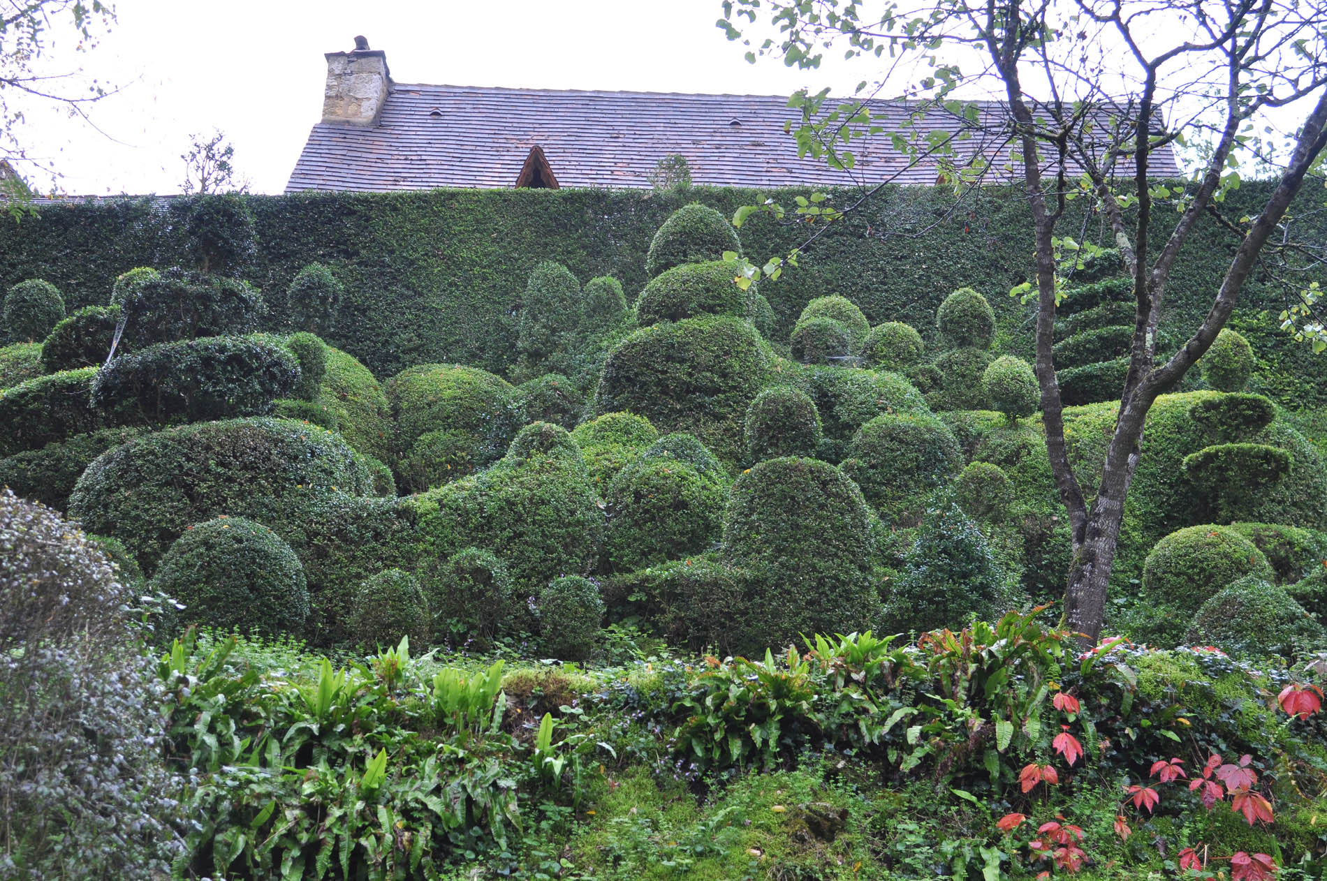 Les Jardins de l'Albarède, Saint-Cybranet - photo 9