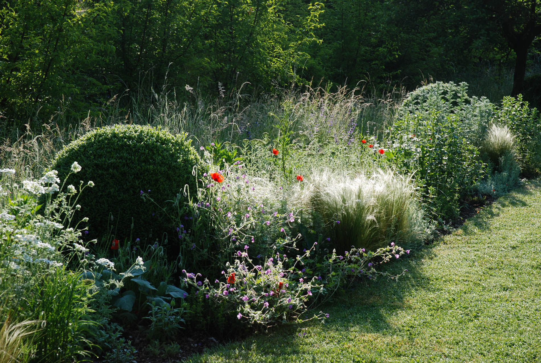 Les Jardins de l'Albarède, Saint-Cybranet - photo 7