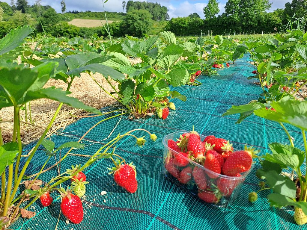 Les Jardins de l'Ardour