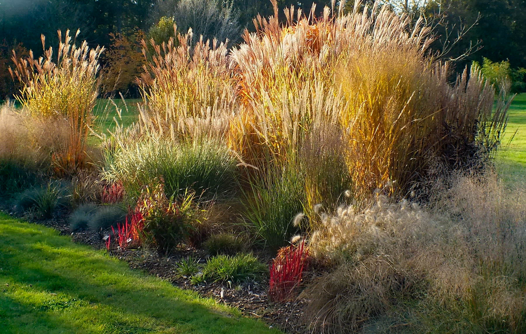Les Jardins du Gué, Lhoumois - photo 2