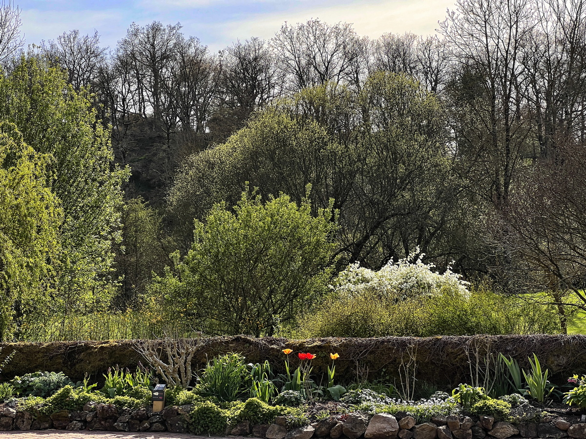 Les Jardins du Gué, Lhoumois