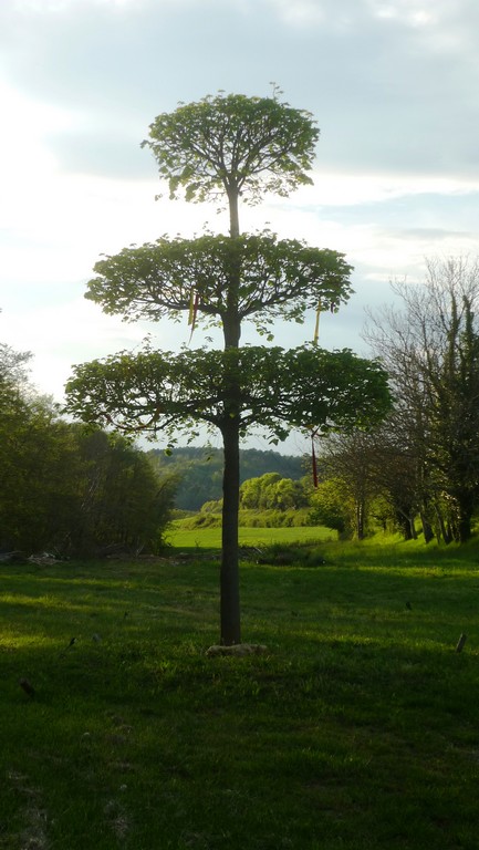 Jeu de piste à Jaure - photo 2