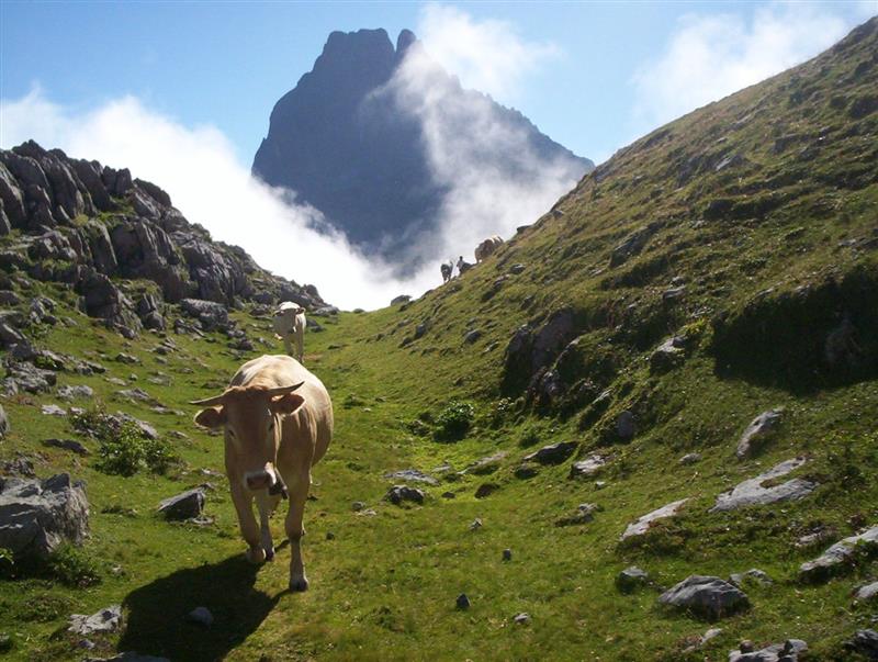 Monsieur Jean-Pierre POMMIES - Accompagnateur Montagne