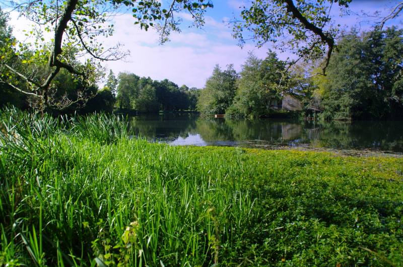 Boucle de Janguet, Saint-Médard-de-Guizières - photo 4