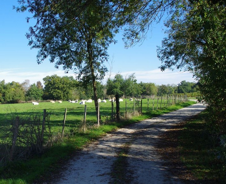 Boucle de Janguet, Saint-Médard-de-Guizières - photo 5
