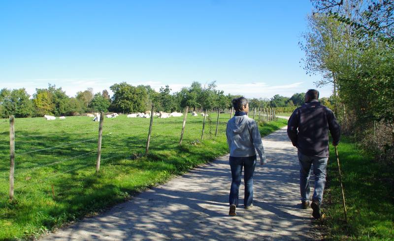Boucle de Janguet, Saint-Médard-de-Guizières - photo 7
