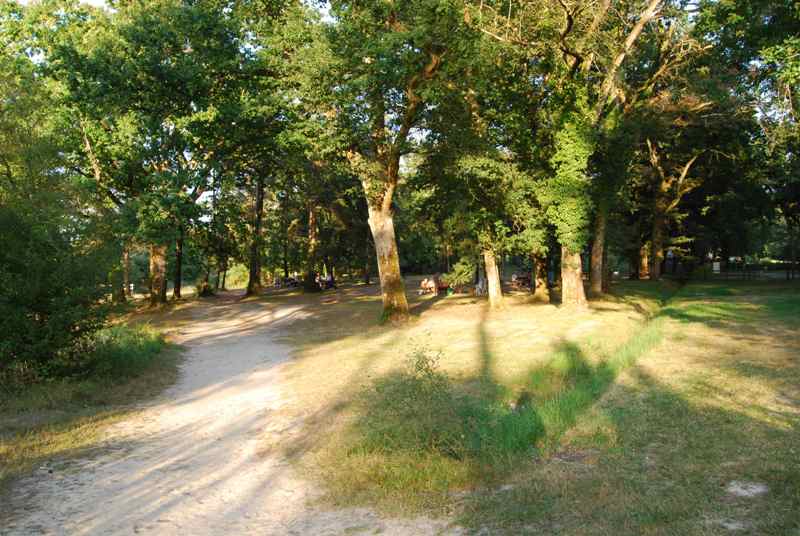 Les Etangs de la Jemaye - photo 2