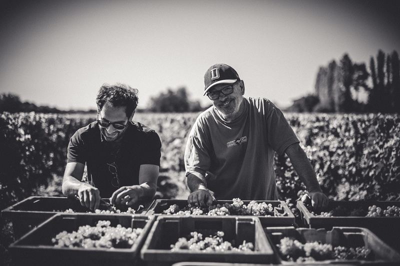 Château Jouvente - photo 4