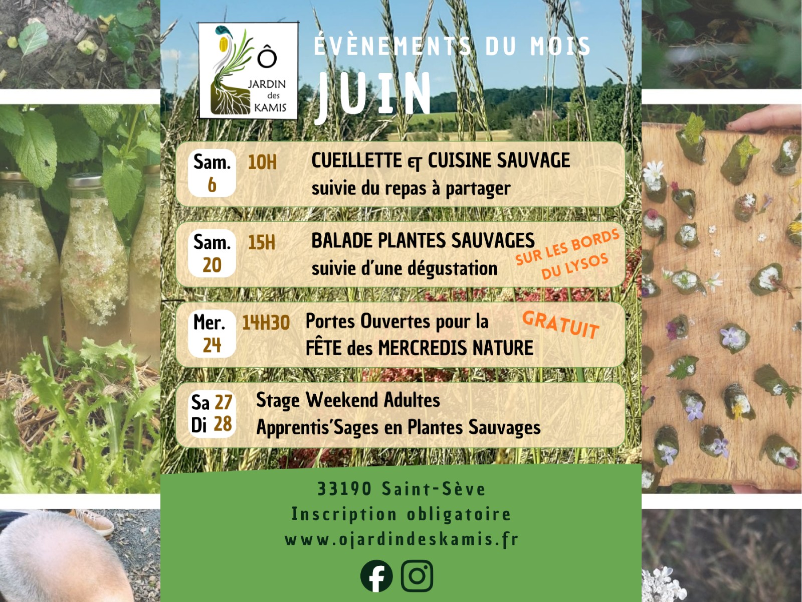 Programme des ateliers et stages d'Ô Jardin des Kamis, Saint-Sève