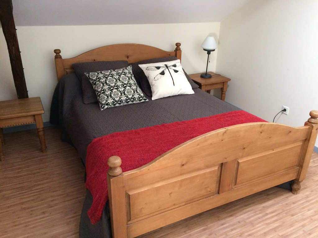 Junca, Orx - photo 14