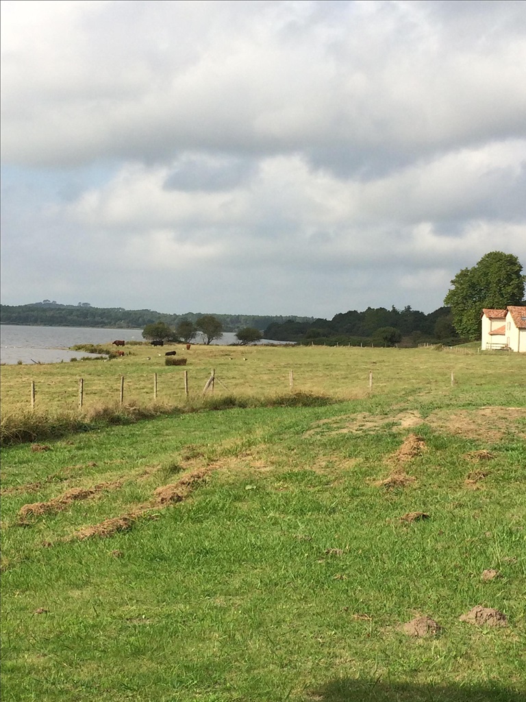 Junca, Orx - photo 8