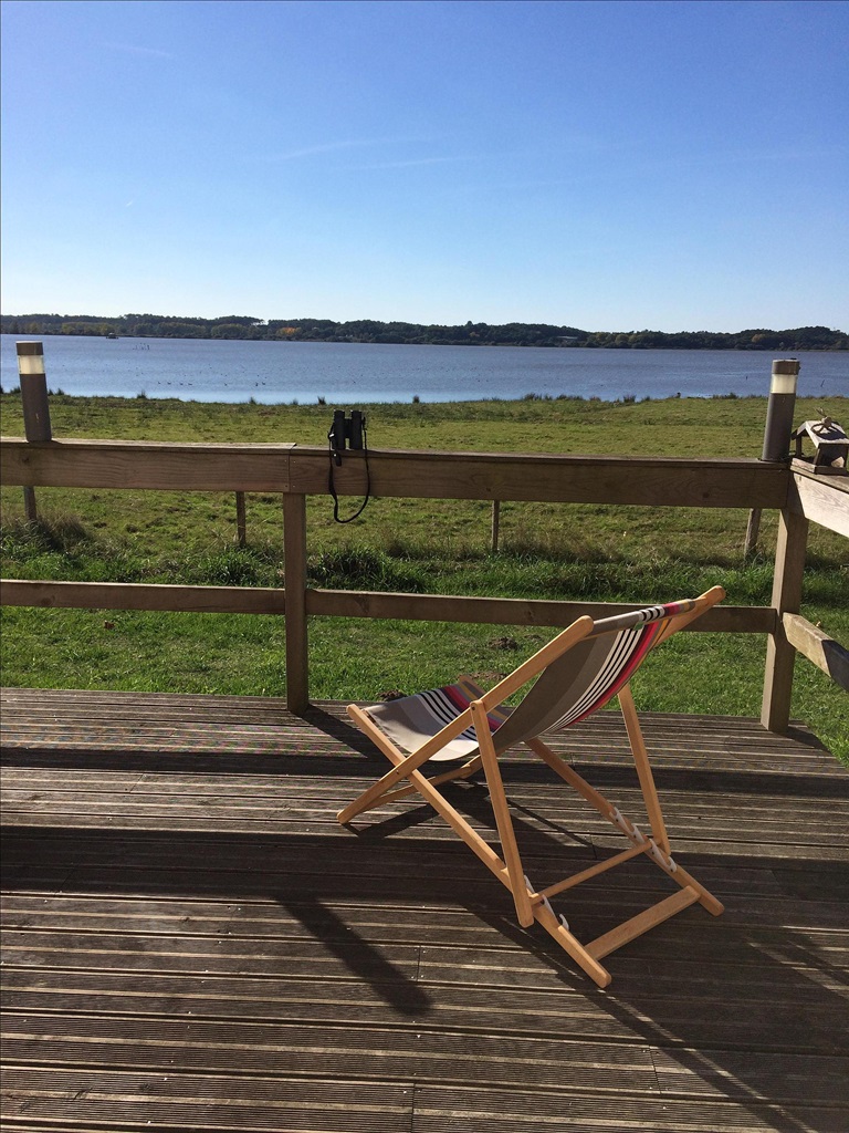 Junca, Orx - photo 15