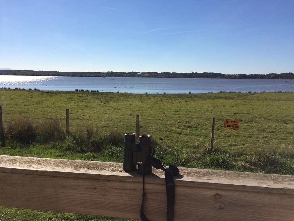 Junca, Orx - photo 10