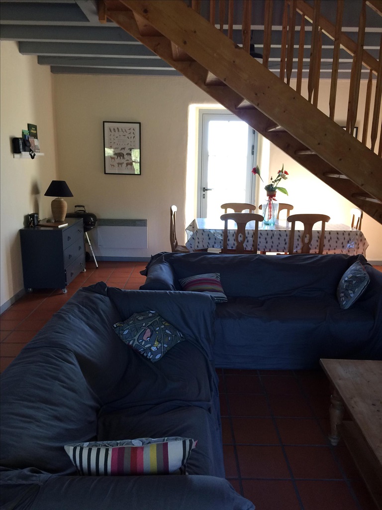 Junca, Orx - photo 5