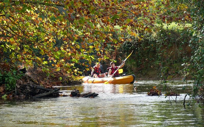 Jungle Canoë