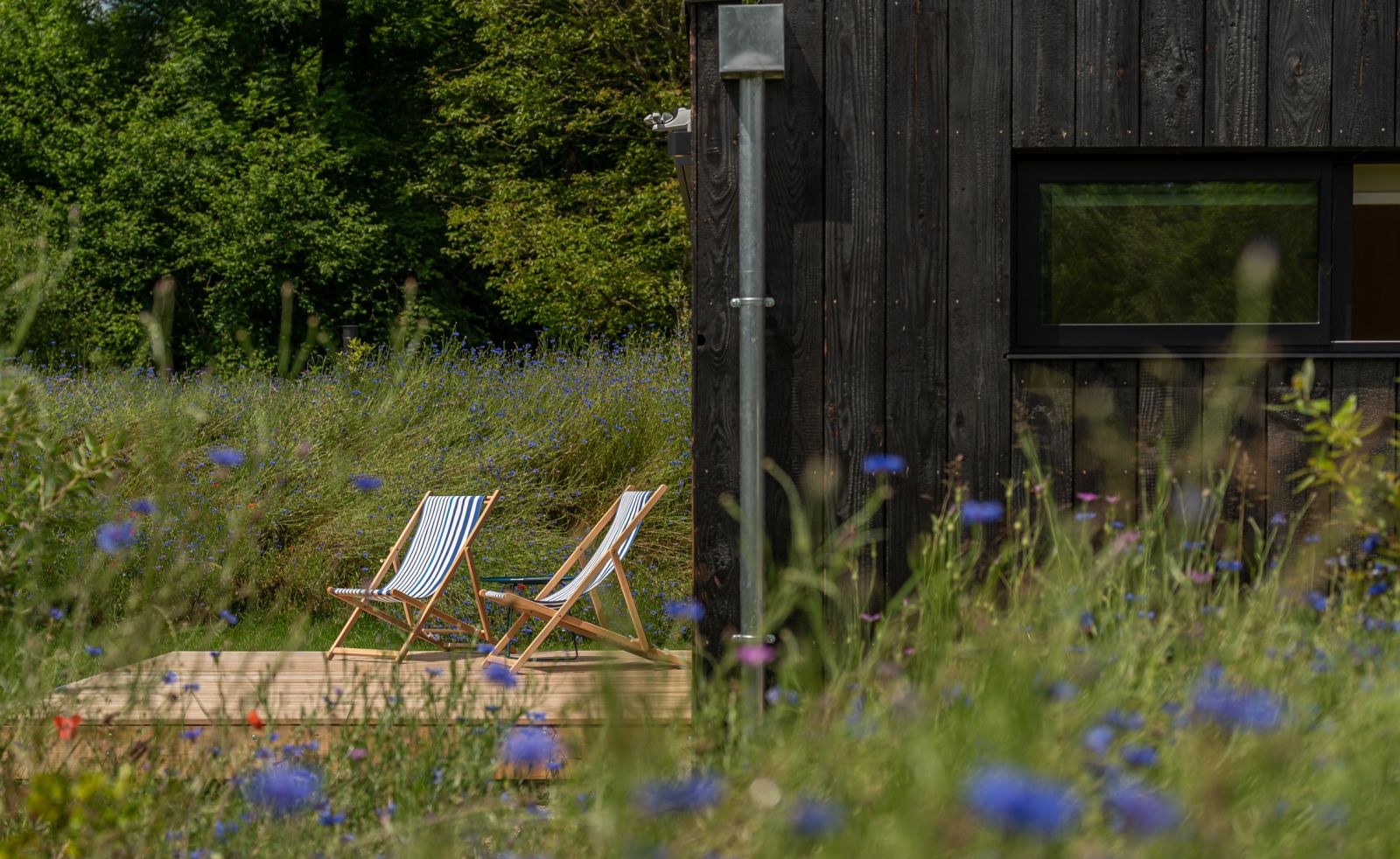 Kokoni - "Aquí", Arette - photo 8