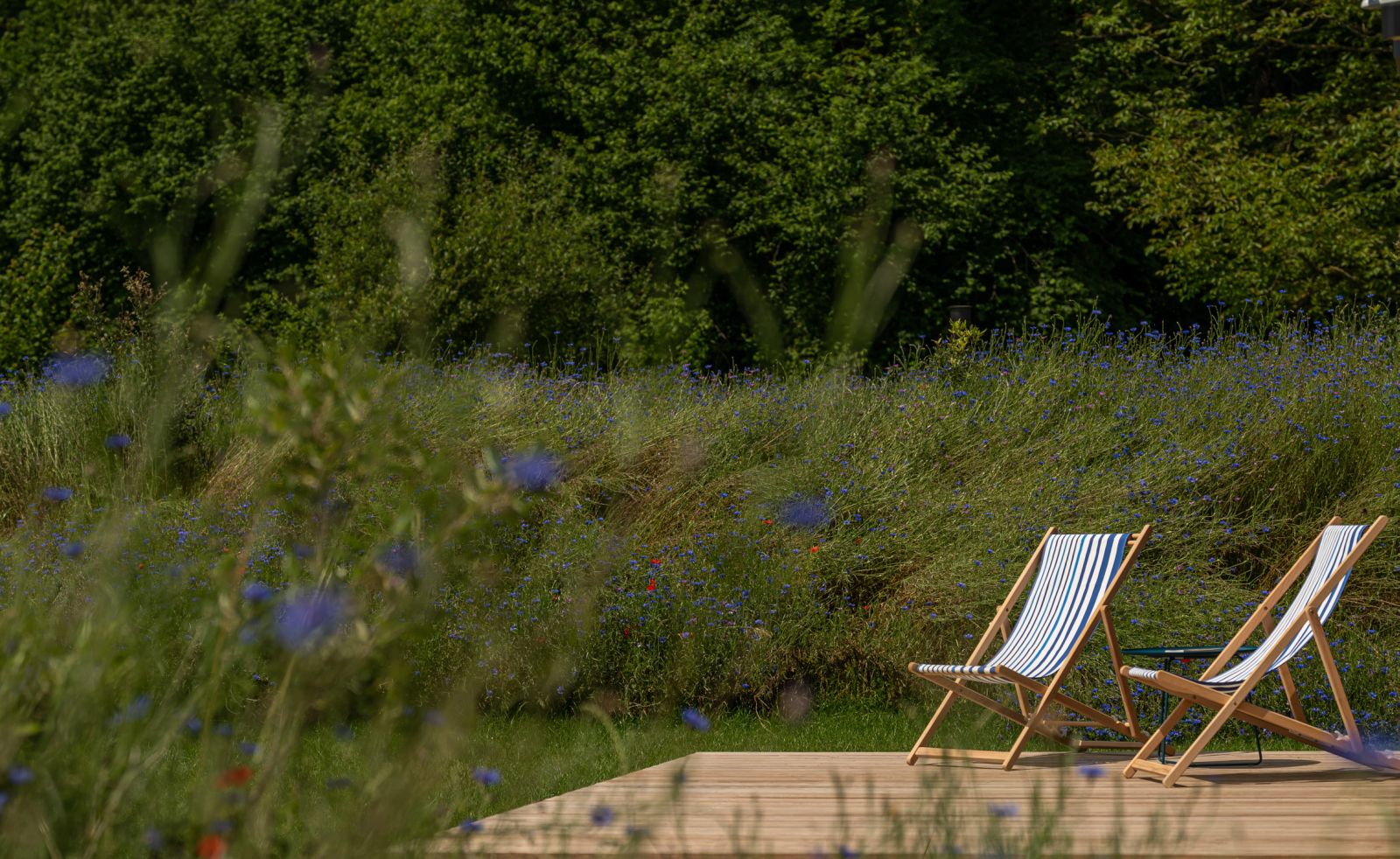 Kokoni - "Aquí", Arette - photo 5