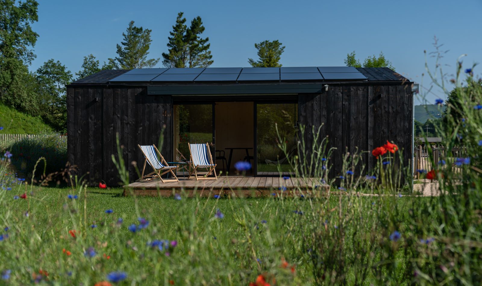 Kokoni - "Aquí", Arette - photo 12