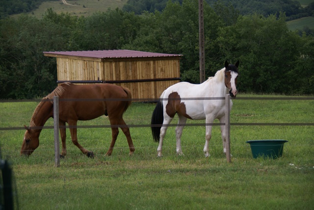 Gîte du Petit Mayne, Beaumontois en Périgord - photo 12