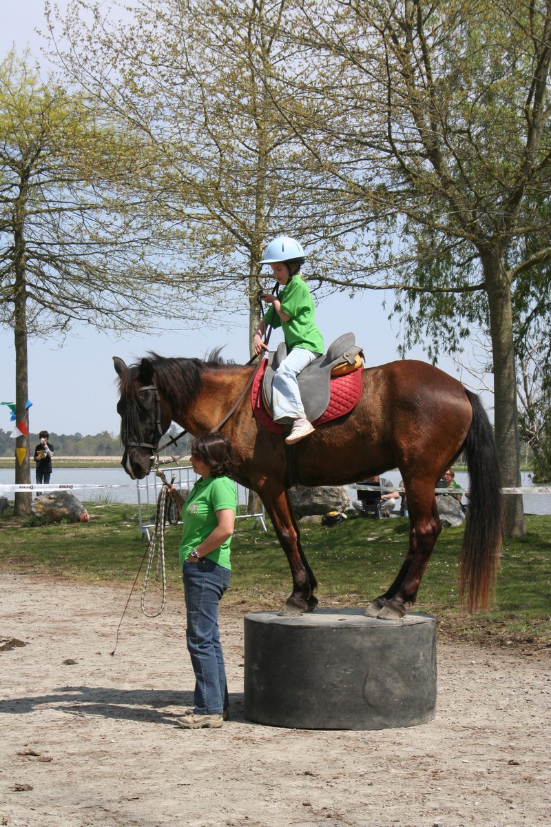 Ferme Equestre de Bertron — photo 3