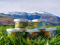 Kaskoleta glaces