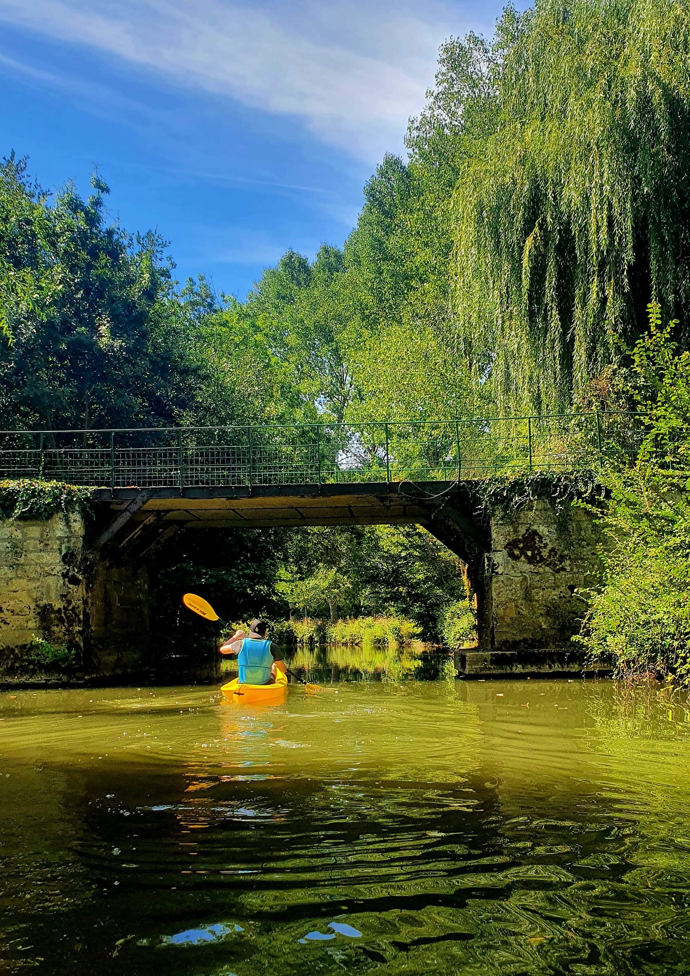 Le Repère des Copains, Magné - photo 16