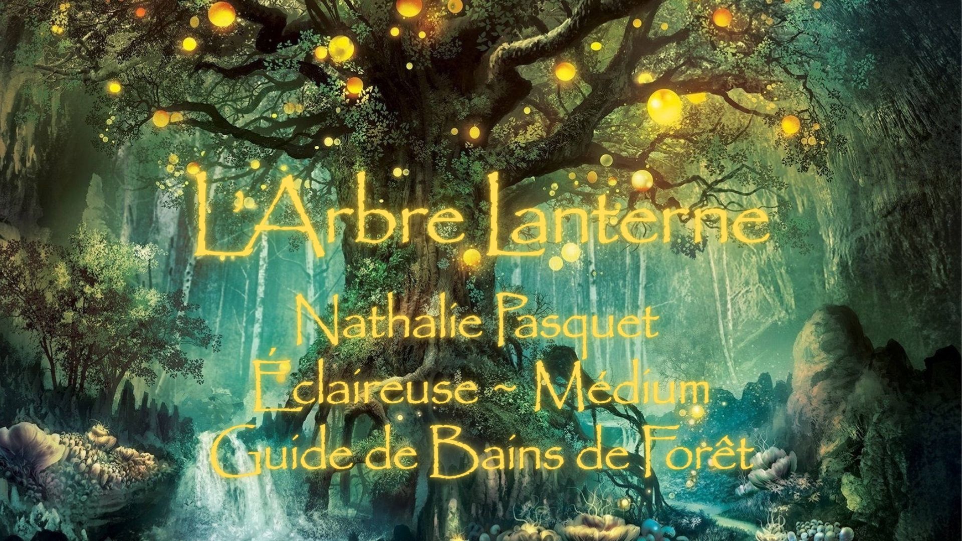 L'arbre lanterne — photo 2