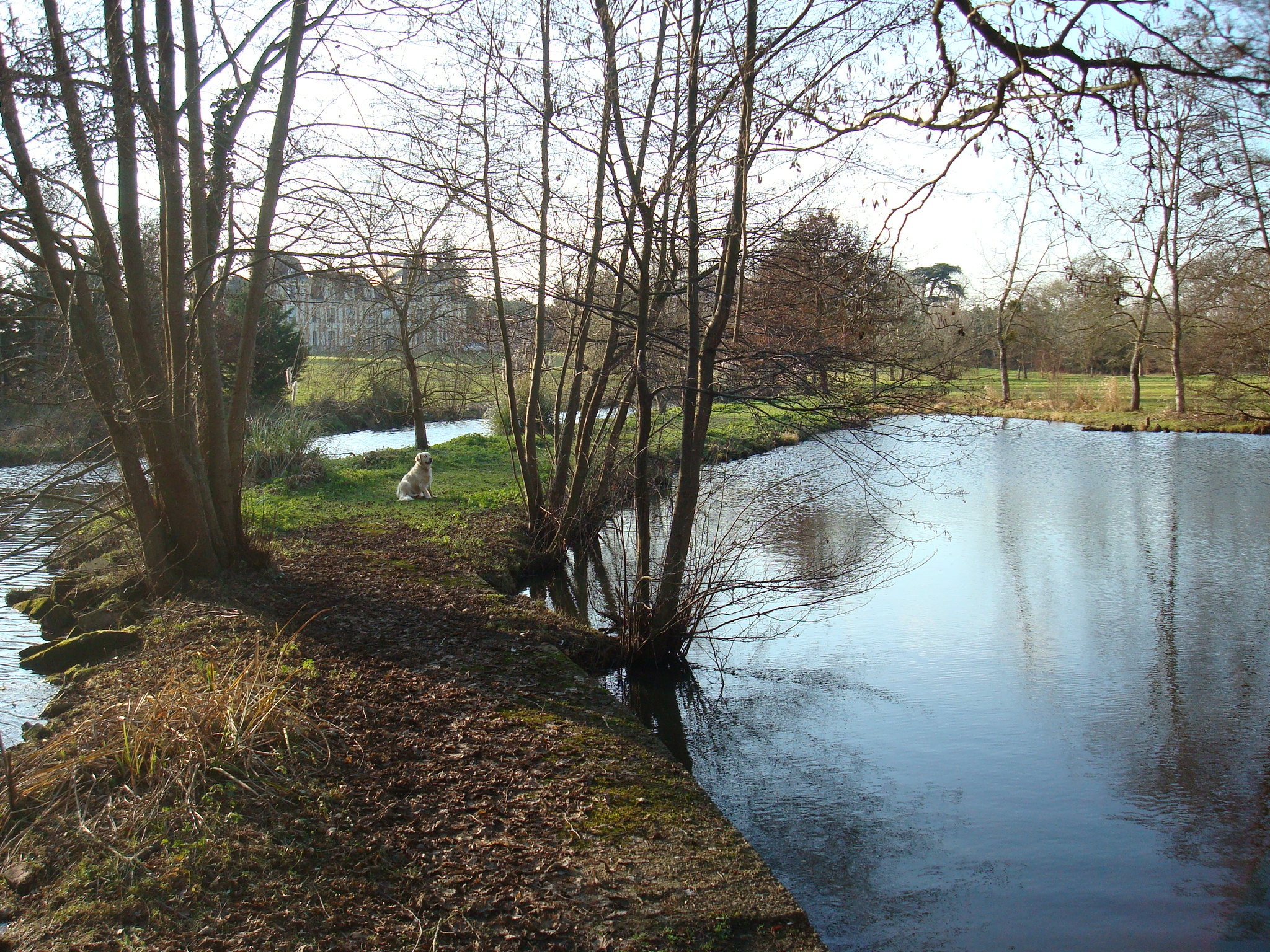 Parc et Jardins du Domaine de Tournelay, Nueil-les-Aubiers - photo 9