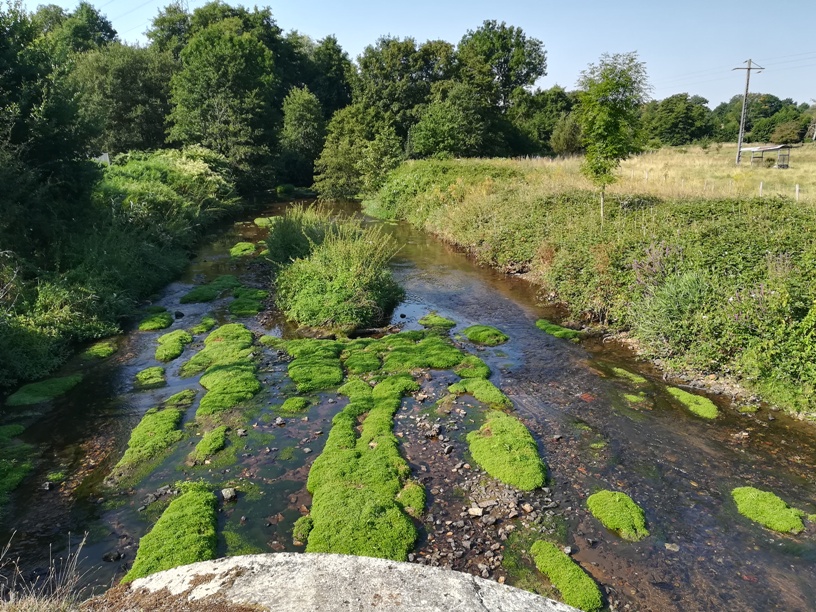 Sentier des trois ruisseaux, Limoges - photo 2