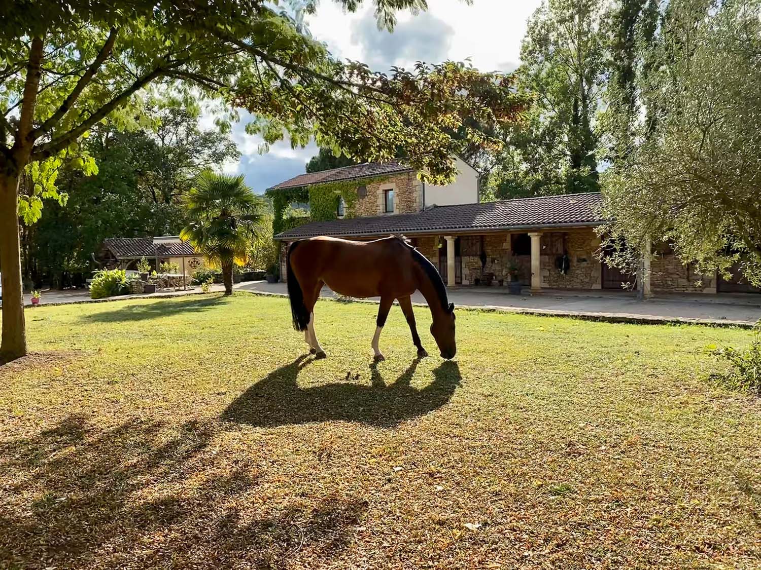 L'Écurie de L'étrier, Vitrac - photo 19