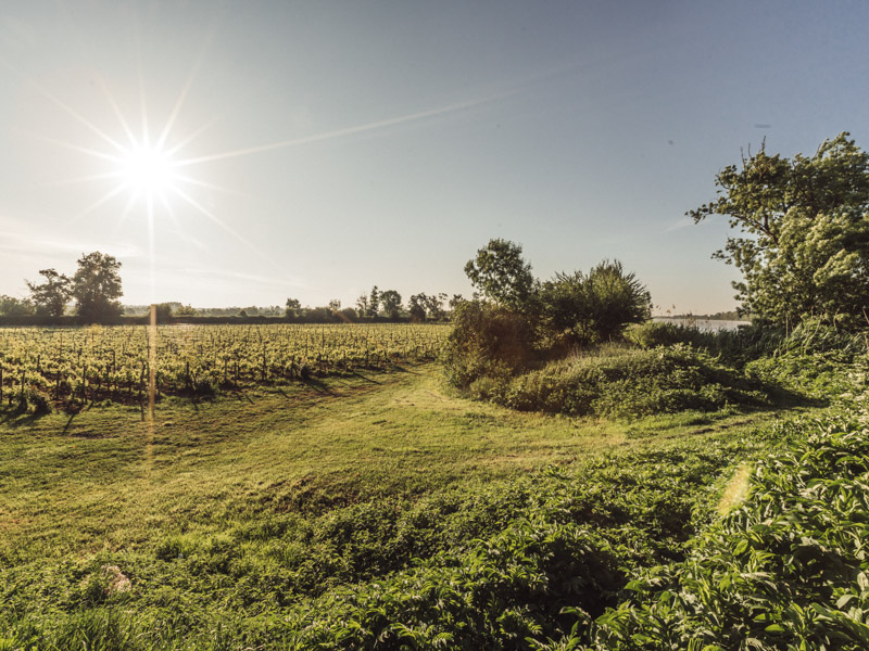 Ile Margaux, Margaux-Cantenac - photo 7