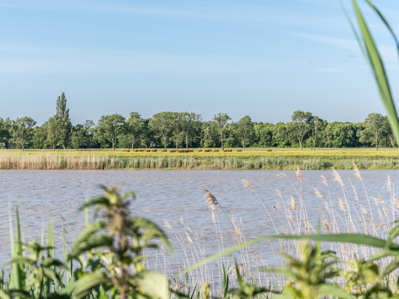 Ile Margaux, Margaux-Cantenac - photo 4