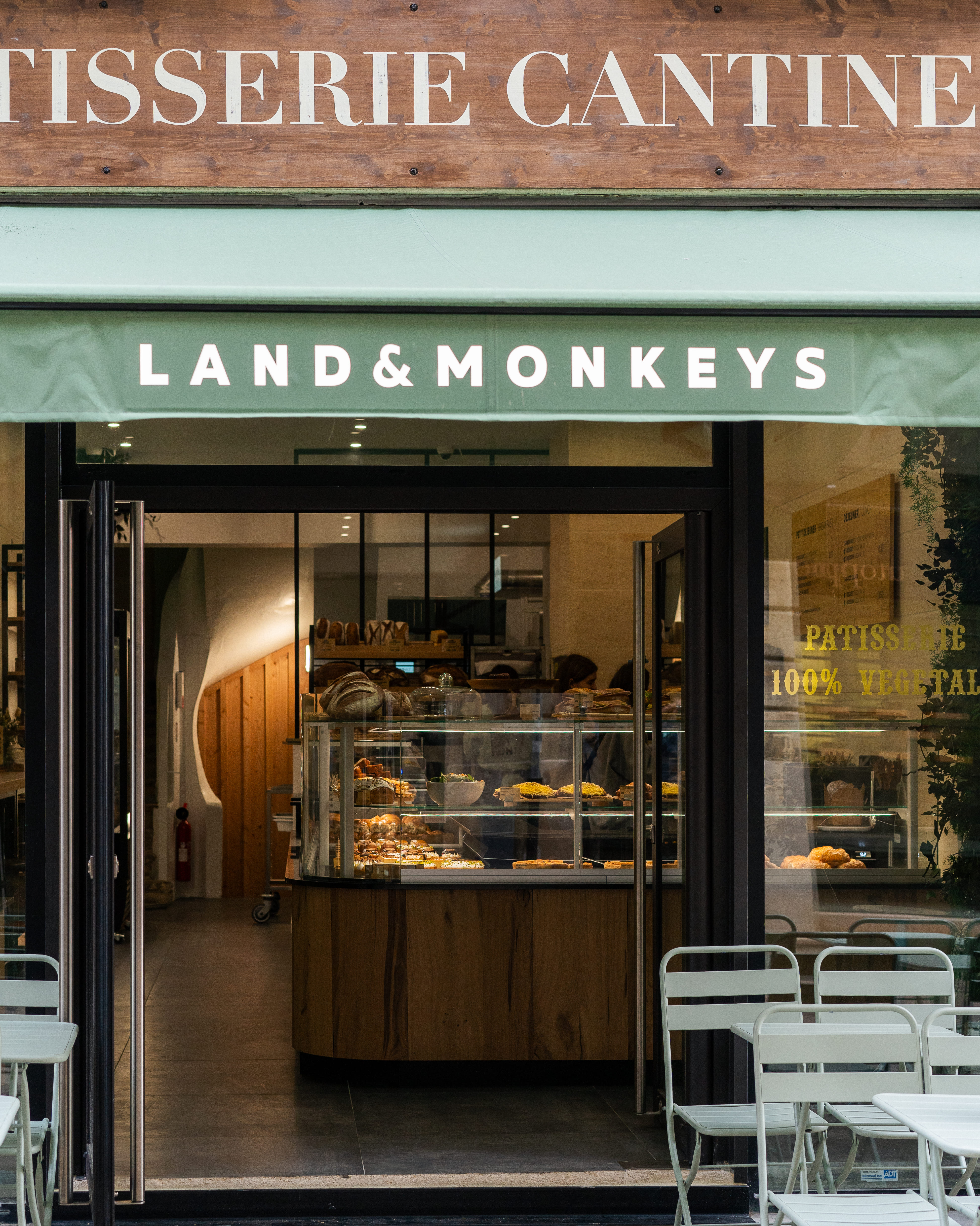 Land&Monkeys — photo 2