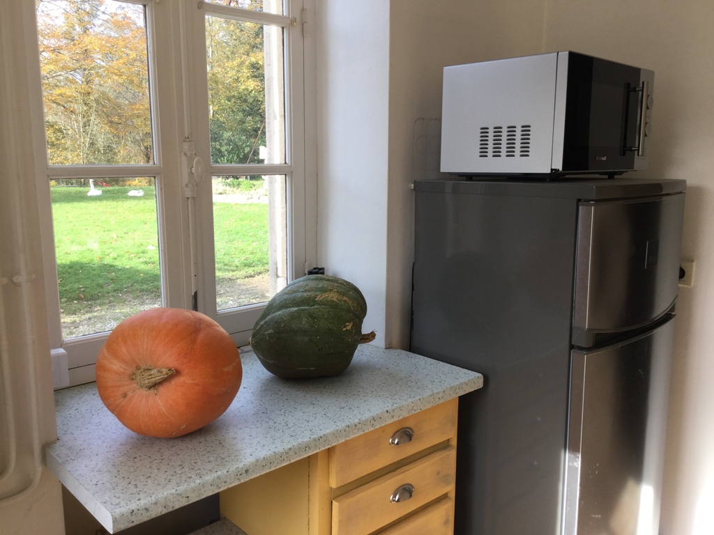 L'Orangerie du Château de Bordus, Sainte-Marie-de-Gosse - photo 2