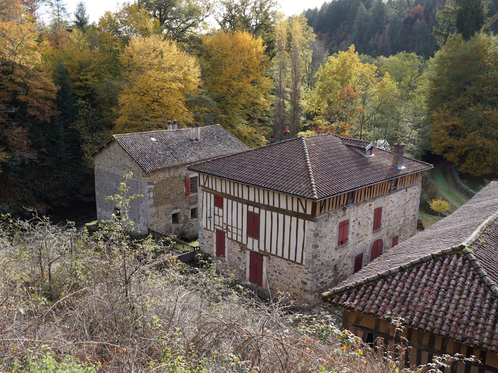 Parcours de pêche à la mouche sur la Vienne du Moulin de l'Artige — photo 2