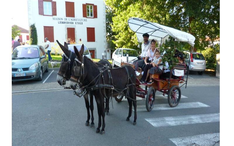 L'âne ta lan