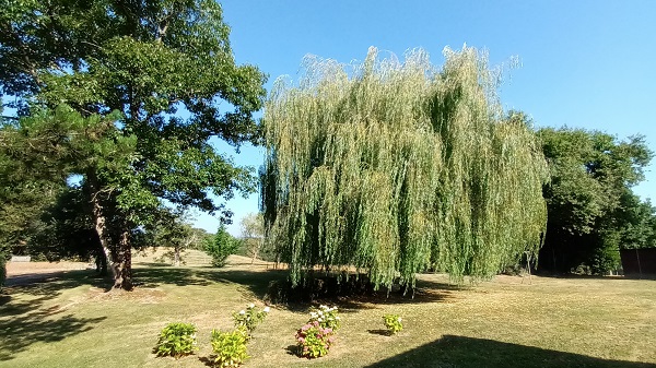 L'Ecrin de Verdure, Eugénie-les-Bains - photo 8