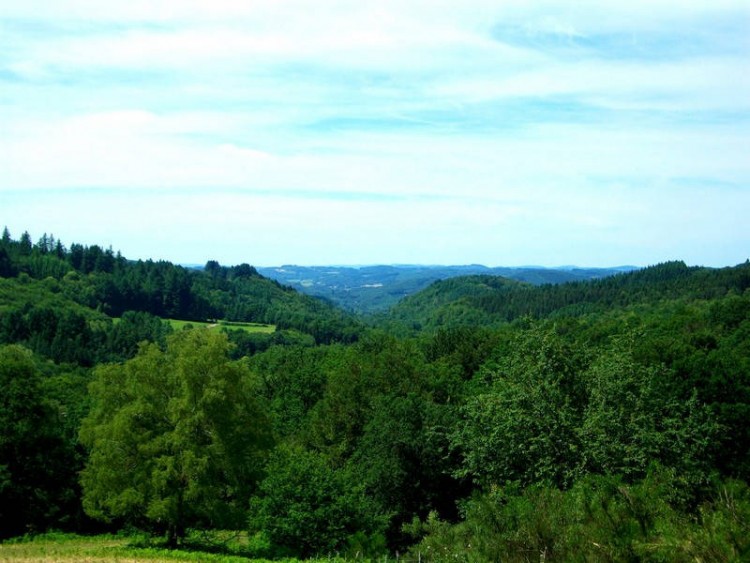 L'Eglise aux Bois, L'Église-aux-Bois - photo 3