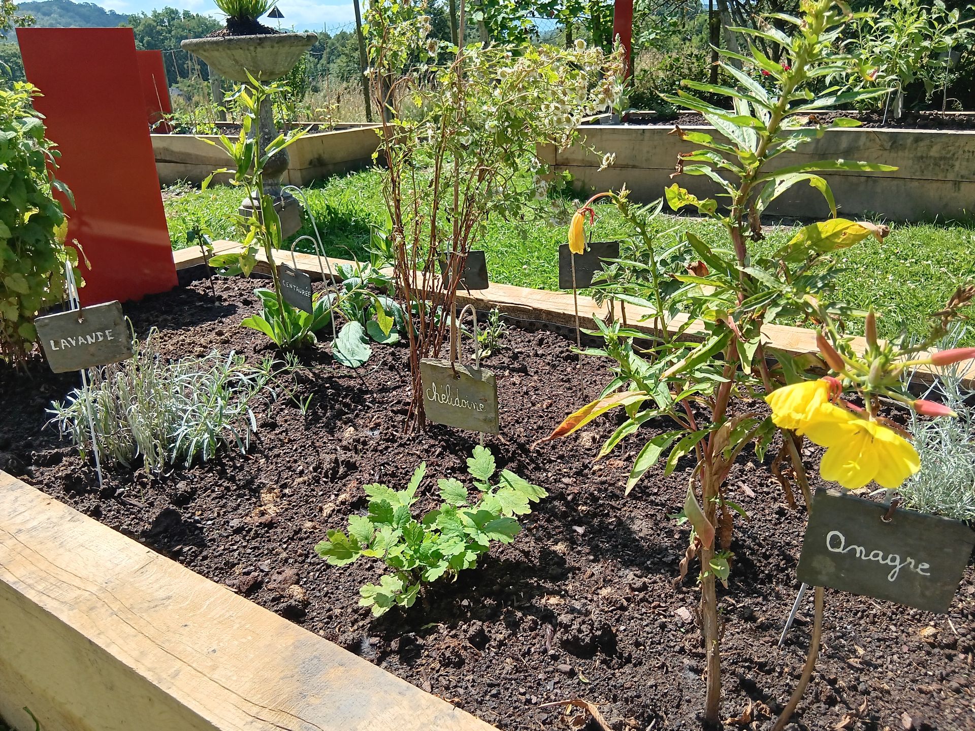 Ensemble Hospitalier de Lacommande, Lacommande - photo 5