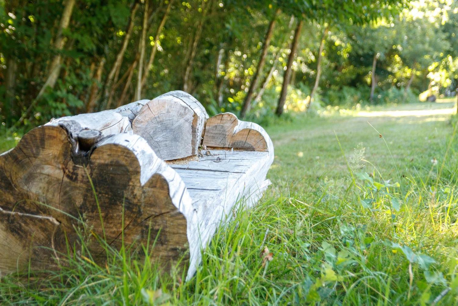 L'Envol - oasis ressource - photo 5