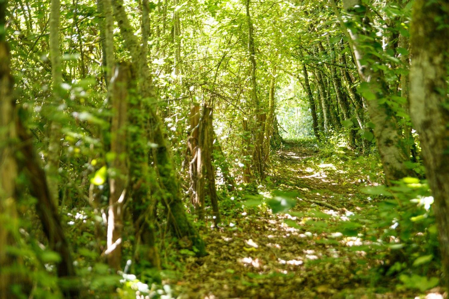 L'Oasis Ressource L'Envol, Bassillac et Auberoche - photo 13